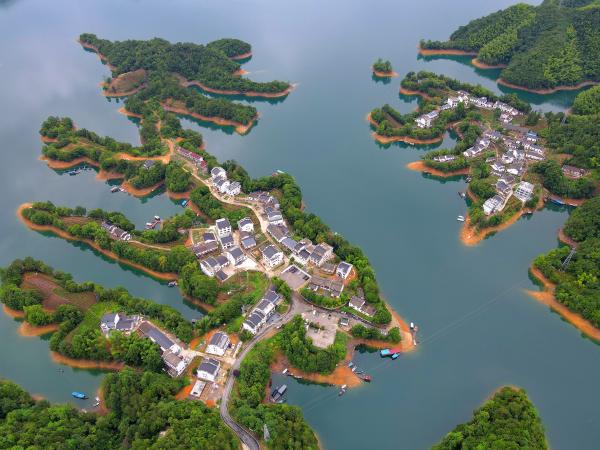 【项目情况简介】